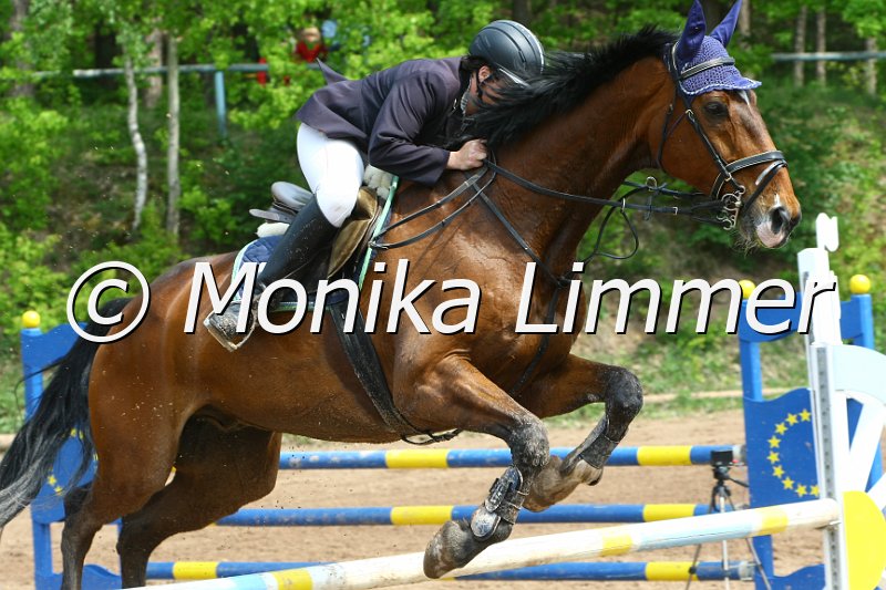 104M3398_Federball_Punkte L.JPG